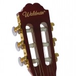 Waldman - Violão Student One ST-1