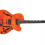 Waldman - Guitarra Semiacustica Duke Flamish Bigsby GHJ_250 BG