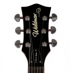 Waldman - Guitarra Semiacustica Duke Flamish Bigsby GHJ_250 BG