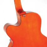 Waldman - Guitarra Semiacustica Duke Flamish Bigsby GHJ_250 BG