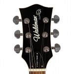 Waldman - Guitarra Semiacustica Prince Root Bigsby GHO_140 BG