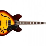 Waldman - Guitarra Semiacustica Prince Root Finale GHO_140 CW