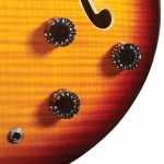 Waldman - Guitarra Semiacustica Prince Flamish GHO_250