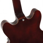 Waldman - Guitarra Semiacustica Prince Flamish GHO_250