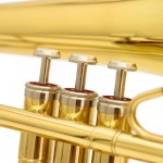 Waldman - Sopro Trombone WTBV GD
