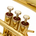 Waldman - Sopro Trombone WTBV GD