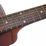 Waldman Violão Fiesta Wood GAF_1260ET