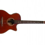 Waldman Violão Fiesta Wood GAF_1260ET