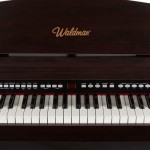 Waldman Piano Digital StylishGrand 88 SYG 88