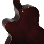 Waldman - Guitarra Semiacustica Duke Mastertop Bigsby GHJ_350 BG