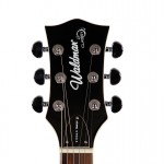 Waldman - Guitarra Semiacustica Prince Stripe GHO_141