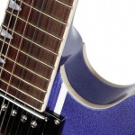Waldman - Guitarra Semiacustica Prince Stripe Bigsby GHO_141 BG